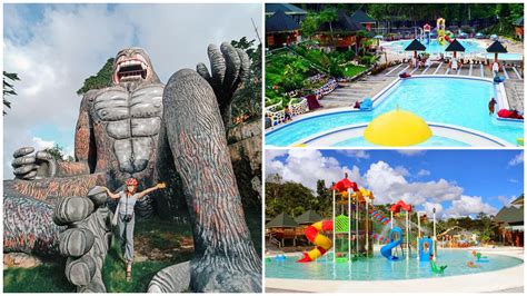 bet n choy|Bet N’ Choy: Bohol’s Giant Playground for Kids and Kids.